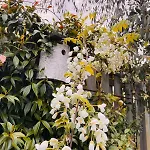 Tuiny House 노르트베이크