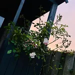 Tuiny House * 노르트베이크
