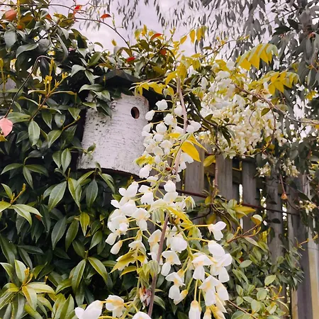 Tuiny House ノールトウェイク