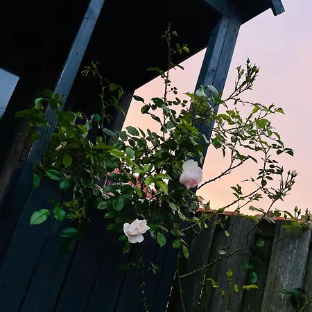 Tuiny House * ノールトウェイク