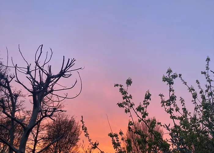 Tuiny House Tatil Evi