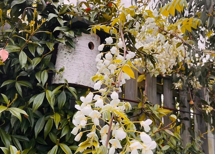 Tuiny House Noordwijk